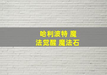 哈利波特 魔法觉醒 魔法石